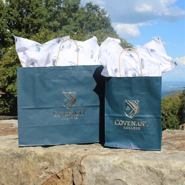 Small gift bag w/tissue paper (2 sheets)