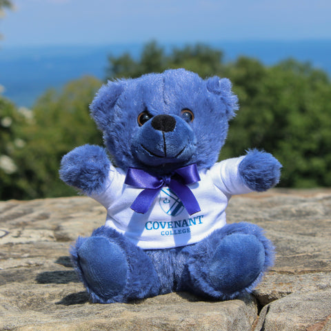 Teddy Bear - Tartan Blue
